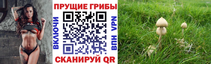 Псилоцибиновые грибы Magic Shrooms  OMG ссылка  Приволжск 